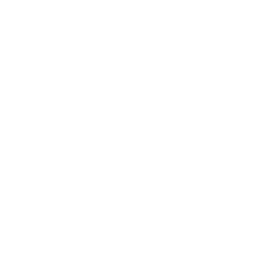 Erfahrung Icon